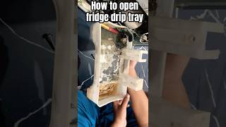 How to open fridge fridge [upl. by Oika]