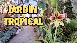 ¡Sé tu Propio Paisajista Cómo Diseñar un Jardín Tropical que Dejará a Todos sin Palabras 🗣️🌺 [upl. by Beitch507]