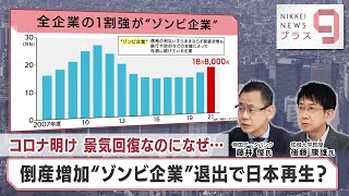 コロナ明け 景気回復なのになぜ… 倒産増加“ゾンビ企業”退出で日本再生？【日経プラス９】（2023年6月8日） [upl. by Aikas]