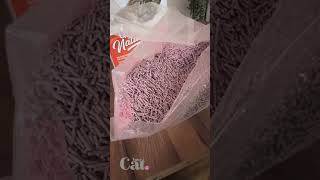 new sustainable cat litter from Catit [upl. by Airdnal]