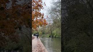 Cotswold on 60 seconds nature cotswoldvillages travel countryside naturephotography natureshot [upl. by Doroteya]