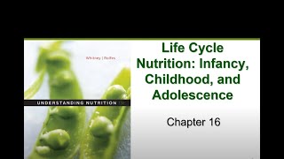 Infants Childhood and Adolescence Chapter 16 [upl. by Gunzburg]