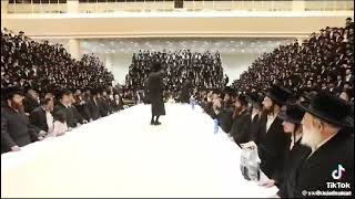 R’ Elimelech Biderman gig [upl. by Leyla896]