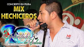 ESPLENDIDOS DE SALVIA ►MIX HECHICEROS  EN VIVO  EX POLVORINESPIURA [upl. by Eedyaj]