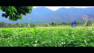 MITHRAM MALAYALAM FILM SONG NANAMULLA KANNIL [upl. by Nit]