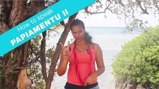 How to speak papiamentu part 2  Language lesson  Curacao [upl. by Nameerf391]