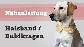 DIY Hundehalsband selber machen  Hund Halstuch Halsband nähen Nähanleitung kostenlos [upl. by Bergeman158]