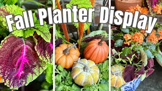 🍁 Stunning Fall Planters Coleus Petunias and Millet Container Garden Ideas [upl. by Heimlich]