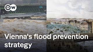 Viennas flood defense system explained  DW News [upl. by Sitoiganap]