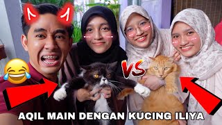 AQIL MAIN DENGAN KUCING ILIYA 😂 KUCING DIA BERANAK WOI 😱 [upl. by Mailand]