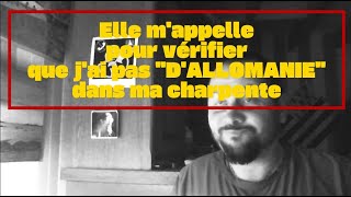 elle mappelle pour vérifier que je nai pas dallomanie dans la charpente ‐ [upl. by Llieno]