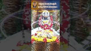 కాలంబు గతి ManaOoruManaSamskruthi devotional trending draksharamam tamil telugu love [upl. by Ahseei829]