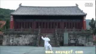 WUDANG DAOIST Five  5  Elements QIGONG by Li YuanFeiPart 3  Water [upl. by Neerom]