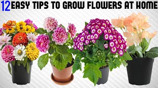 12 Tricks To Grow Tons of Flowers at Home  EASY TIPS [upl. by Nesahc863]