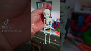 İskeletskeleton [upl. by Nihcas488]