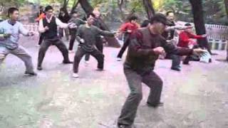 Hunyuan Taijiquan 24 [upl. by Ttemme]