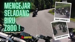 Mengejar Seladang Biru Z800 di Bukit Tinggi  MT09 V1 Pure Sound  4K [upl. by Thoer]