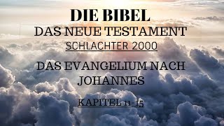 Johannes Evangelium  Schlachter 2000 Kapitel 1115 [upl. by Jamilla]