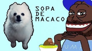 SOPA DE MACACO em CACHORRÃŠS [upl. by Lilyan]