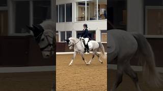 🥈Our first Novice Dressage test [upl. by Jinny]