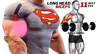 11 BEST BICEPS WORKOUT  LONG HEAD  WITH DUMBBELLS ONLY AT HOME TO GET BIGGER ARMS FAST [upl. by Nnarefinnej]