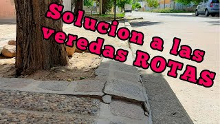 Como CORTAR RAÍCES que Rompen el suelo 🌴🪓  Solución RÁPIDA Y FÁCIL para cuidar tu vereda [upl. by Loralyn]