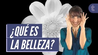 La estética y belleza para la filosofía [upl. by Ahtibbat]