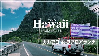 「今日もひたすらお散歩😇⛰」親友時間💓 クアロアランチ🐴 パイオニアサルーン🍱 カミトクラーメン🍜【Hawaii Vlog vol731】今日の散歩は カカアコ ホノルル ハワイ [upl. by Anniroc319]