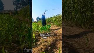 शेती परवडते farming shetkari ahirekrushifarm ‎shetakriputra teamactors [upl. by Nayab]