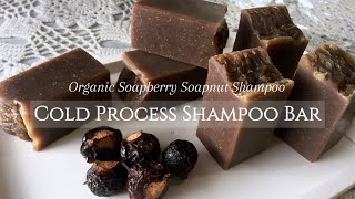 Homemade Natural Shampoo Bar with Organic Soapberry Soap Nut Shampoo  Shampo Lerak Alami [upl. by Stricklan]