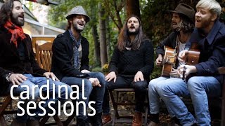 The Temperance Movement  Chinese Lanterns  CARDINAL SESSIONS [upl. by Eelrihs]