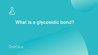 What is a glycosidic bond [upl. by Eniluap]