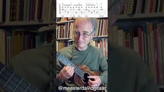 Auld Lang Syne Ukulele fingerstyle tutorial [upl. by Eiramnerual]