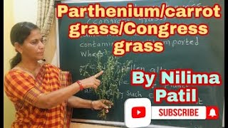 12thPartheniumCarrot grassCongress grassMost dangerous Weedof India12th New syllabus [upl. by Grimona]