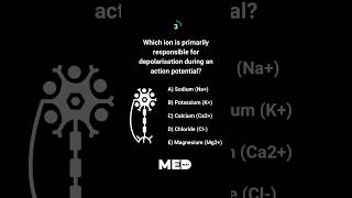 🧠Neurophysiology Time Test your preclinical knowledge with us daily Make sure to Subcribe [upl. by Ahsek]