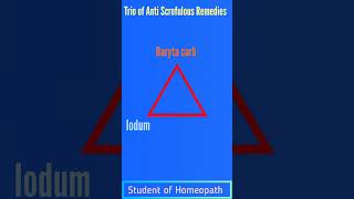 Trio of Anti Scrofulous RemedyAnti Scrofulous Remedy In HomeopathyBaryta CarbBromiumShorts [upl. by Nored]