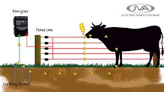 How does an electric fence work [upl. by Donaghue]