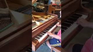 Extraordinary SCHIMMEL Germany 🇩🇪 baby Grand piano [upl. by Der24]