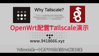 OpenWrt配置Tailscale演示 [upl. by Aierdna]