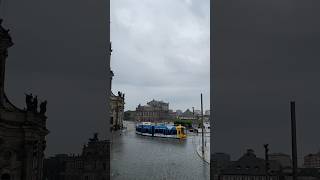 Dresden Trams in the city center 🇩🇪 [upl. by Amora137]