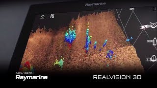 Raymarine RealVision 3D Sonar [upl. by Beedon910]