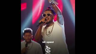 ලොවම නැවතිලා නිහඩයි වගේ  💆‍♂️🌿❤️ shortsyoutube music livemusicvenue trendingshorts music [upl. by Oguh318]