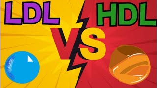 LDL VS HDL  QUICK SUMMARY [upl. by Yblok]