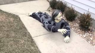 Crawling Dead Zombie Animated Halloween Prop [upl. by Lotz]