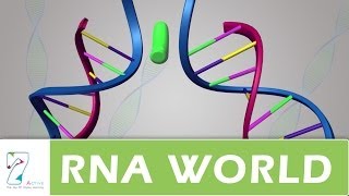 RNA World [upl. by Elamor]