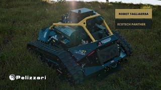 Tagliaerba radiocomandato 4x4  Robot Ecotech Panther [upl. by Eberly947]