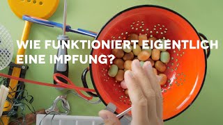 wie funktioniert eigentlich EINE IMPFUNG [upl. by Gnol30]