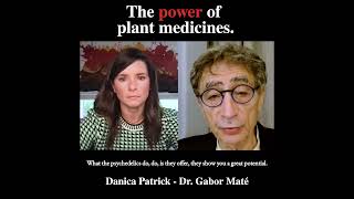 Gabor Maté  Plant Medicines  Ep 164 shorts [upl. by Ancier]