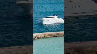 Pelican diving near the Haulover Inlet Did you notice the yacht🤪Filmed by my good friend Scott [upl. by Nellaf]