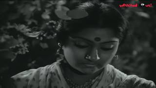 Madhavi and Chiranjeevi In Kukka Katuku Cheppu Debba Telugu Movie  Telugu Filmnagar [upl. by Blakelee]